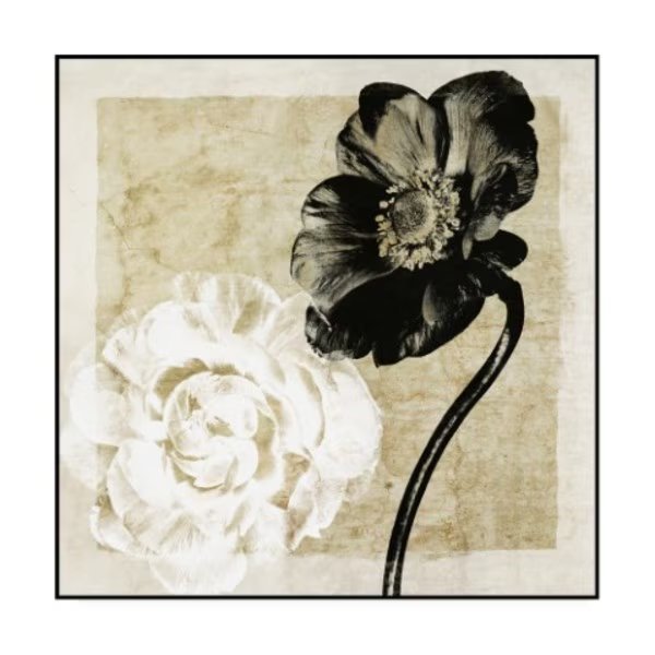 Christine Zalewski 'Light From Darkness I' Canvas Art, 18x18, Trademark Fine Art, Mfr#: WAG14615-C1818GG